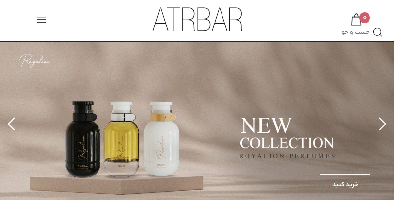 طراحی سایت /سالین تیم / سئو سایت