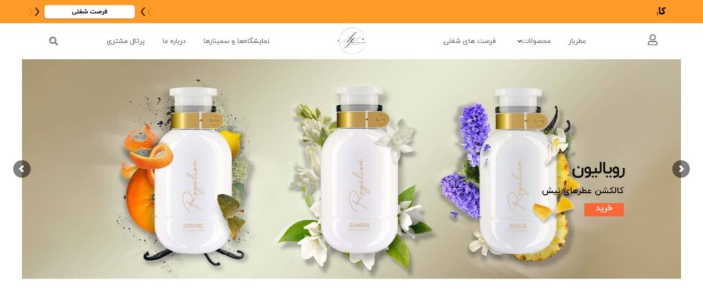 طراحی سایت /سالین تیم / سئو سایت شم ارا