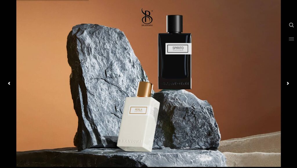 طراحی سایت /سالین تیم / سئو سایت برندینی