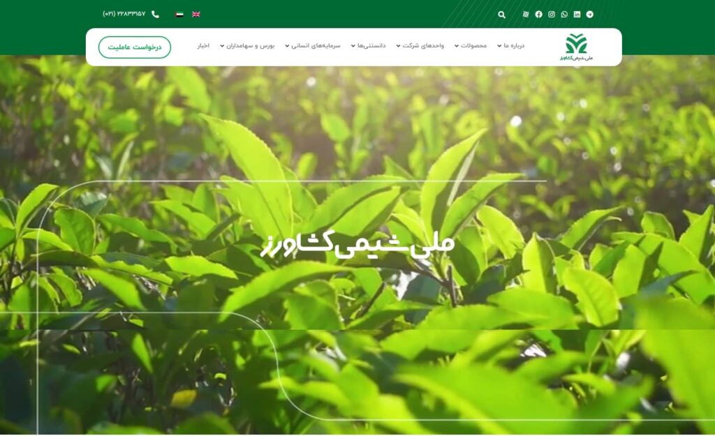 طراحی سایت /سالین تیم / سئو سایت ملی شیمی کشاورز