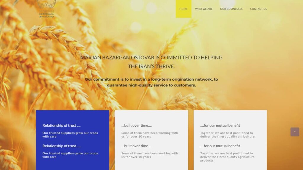 طراحی سایت /سالین تیم / سئو سایت marjanbazargan